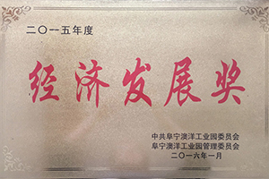 2015年度經(jīng)濟(jì)發(fā)展獎(jiǎng)